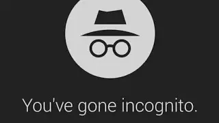 Incognito Mode | In Hindi