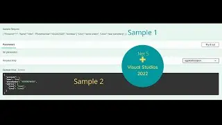 Sample/Example Request on Swagger Page | AspNet Core Web App  |  dotNet 5 | Vs2022