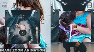 Infinite Inner Image Zoom Animation | Zoom Animation Effect Using By HTML And CSS | CodeExpress