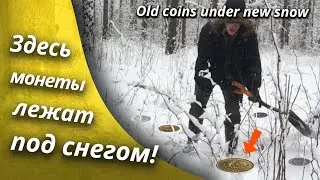 I'm looking for coins in snowdrifts with a metal detector, finds right under my feet
