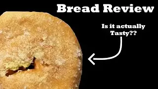 Bread Review