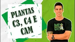 PLANTAS C3, C4 E CAM - RESUMO PROFESSOR GUSTAVO SCHMIDT