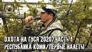 Охота на гуся 2020 в Республике Коми/Часть 1/Не успели расставиться, а гусь уже летит!