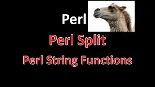 Perl String Functions - Perl Split, Perl Join Strings, Perl Reverse a String | Perl Scripting | Perl