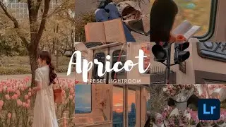 Apricot preset lightroom tutorial - Lightroom Mobile Presets 