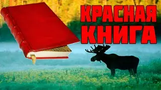 КАК ПОЯВИЛАСЬ КРАСНАЯ КНИГА