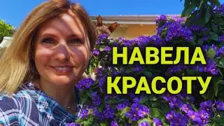 Услуги красоты в Швейцарии | экспресс педикюр