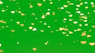 Golden Hearts fall green screen animation effects free HD video | chroma key golden hearts animation