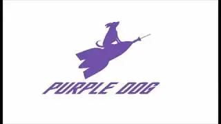 Purple Dog Enterprises Coding Channel- Main Intro