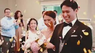 THE PHANS - WEDDING FILM