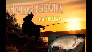 Крутые горки -  Крутой ЛЕЩ! ( Ночная рыбалка )