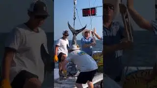 swordfish weigh in at the PBGFC Panhandle Billfish Series tournament