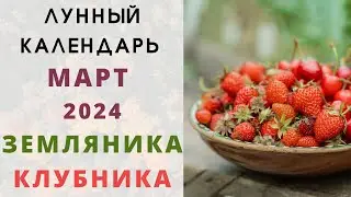 ЗЕМЛЯНИКА: Лунный Календарь МАРТ 2024! Когда сеять семена клубники / земляники на рассаду?