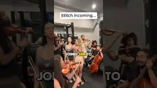 Should a String Quartet Be Allowed to Play in the Gym?