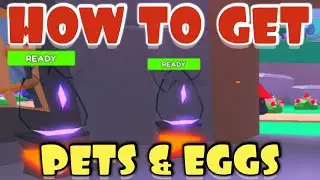 How to Get Pets and Eggs in Pet Swarm Simulator