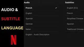 How to Change Audio and Subtitles Language on Netflix (2023)