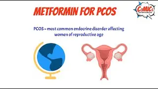 CoMICsLite Episode 33: Metformin for PCOS