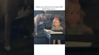 Funny Dog Desperately Wants Apple From Little Girl!