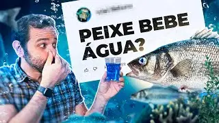 PEIXE TOMA ÁGUA? Iberê responde!