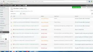 Find Broken Links In Wordpress (By Webmaster.Net)