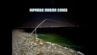 Незабываемая рыбалка на Волге. Ловля сома с берега