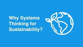 Why we need Systems Thinking for Sustainability?