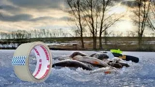 HOW TO CIRCUMVENT THE LAW ABOUT FISHING IN 2019 WITH A CHEAP TAPE WITH ALIEXPRESS
