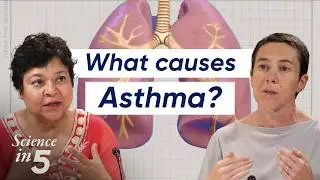 WHO’s Science in 5 - Asthma: what you need to know - 2 August 2024