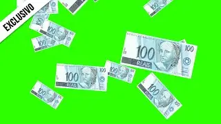 Brazilian Money Falling / Green Screen - Chroma Key