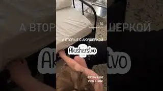 #мягкиероды