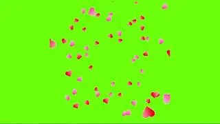 Heart Shower 6 effect  Animation Green Screen  No Copyright