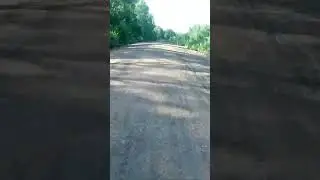 СМОТРИТЕ ЕНОТ ЕНОТ ,БАРСУК БЛ@