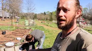 This Isn’t Enough | Planting 100 Strawberry Plants Everywhere