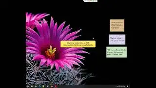 Windows: Attach sticky notes to PDF documents in Windows using Notezilla