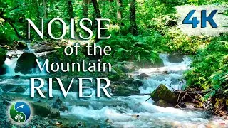 Relaxing Noise of the Mountain River | NATURE SOUNDS for Relaxation,  Nervous System Recovery