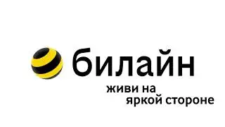 Удержание вызова Билайн (2013-н.в.)