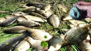 Насадка для рыбалки о которой не знают 90% рыбаков.