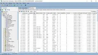 APEX09.SQL01: Modify data.  Use UPDATE & ROLLBACK commands and LOWER() & UPPER() functions.