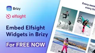 How to Embed Element Elfsight Widgets in Brizy