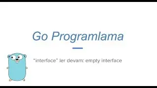 Go programlama interface devam: empty interface (golang)