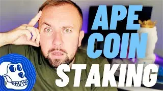 Ape Coin Staking - The Good And The Bad