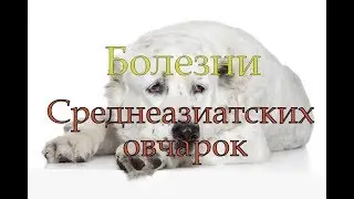 Болезни Среднеазиатских овчарок