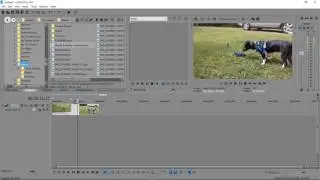 Sony Vegas Pro 13 Lesson #68 - Edit your Videos Frame by Frame using the Timeline Zoom Feature