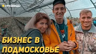 Бизнес в Подмосковье. Подписчики из Луховиц