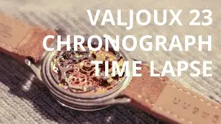 VALJOUX 23 CHRONOGRAPH MOVEMENT - Time Lapse