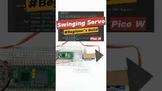 Raspberry Pi Pico Project: Servo