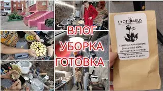 В ХОЛОДИЛЬНИК НА 4 НЕДЕЛИ / ЕЩЁ ОДНА КРАСОТКА / ДОМАШНИЙ ХЛЕБ / УБОРКА / ГОТОВКА / 5 сентября 2024 г