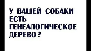 У вашей собаки есть генеалогическое дерево?