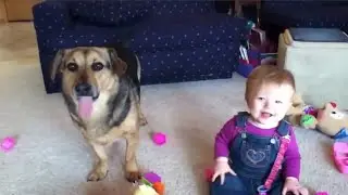 TOP 5 Dogs Playing with Babies.