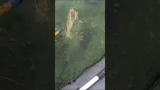 Наркоман Павлик на рыбалке 😁